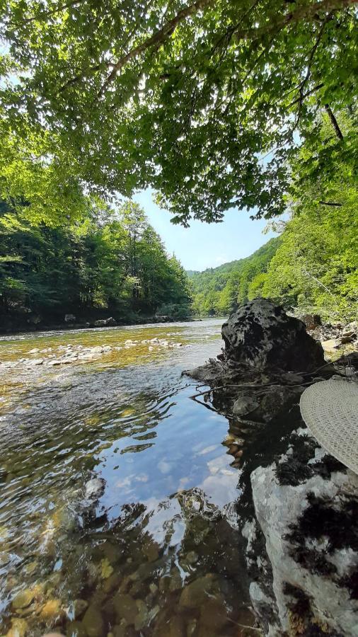 Kuca Za Odmor Forest Dream U Blizini Rijeke Kupe Plesce Extérieur photo